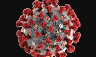 Media Statement with Regards to Coronavirus Outbreak